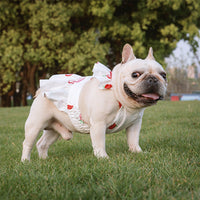 HKM-1541693 Lotus Leaf Lace Suspender Skirt for Small and Medium Dogs and Cats - Ruffled Sling Design with Strawberry Print