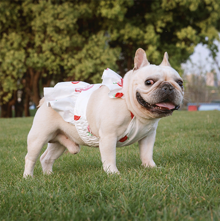 HKM-1541693 Lotus Leaf Lace Suspender Skirt for Small and Medium Dogs and Cats - Ruffled Sling Design with Strawberry Print