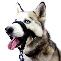 HKM-1542589 Adjustable Anti-Bite Nylon Dog Muzzle with Traction Suit Design, Available in Multiple Sizes