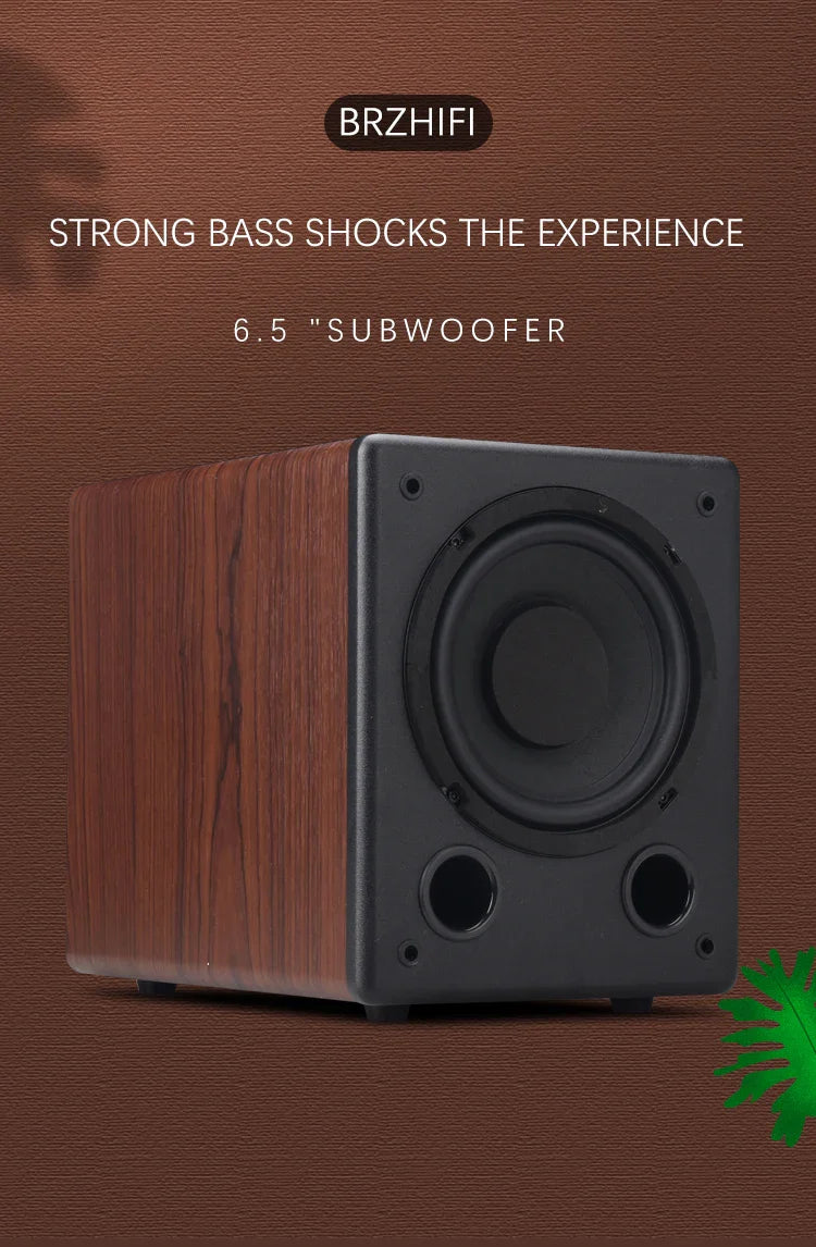 HKM-154579 BRZHIFI SW-6 6.5 Inch Subwoofer 100W Pure Bass Speaker for Home Audio and Theatre Systems