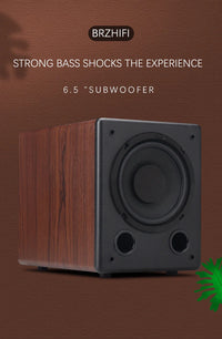 HKM-154579 BRZHIFI SW-6 6.5 Inch Subwoofer 100W Pure Bass Speaker for Home Audio and Theatre Systems
