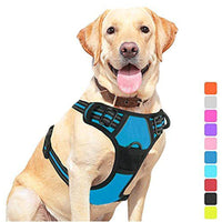 HKM-1555901 Pet Dog Hand Holding Rope Chest Strap - Multiple Colors Available, Durable Cloth Design