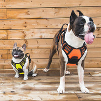 HKM-1555901 Pet Dog Hand Holding Rope Chest Strap - Multiple Colors Available, Durable Cloth Design