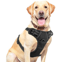HKM-1555901 Pet Dog Hand Holding Rope Chest Strap - Multiple Colors Available, Durable Cloth Design