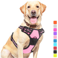 HKM-1555901 Pet Dog Hand Holding Rope Chest Strap - Multiple Colors Available, Durable Cloth Design