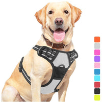 HKM-1555901 Pet Dog Hand Holding Rope Chest Strap - Multiple Colors Available, Durable Cloth Design