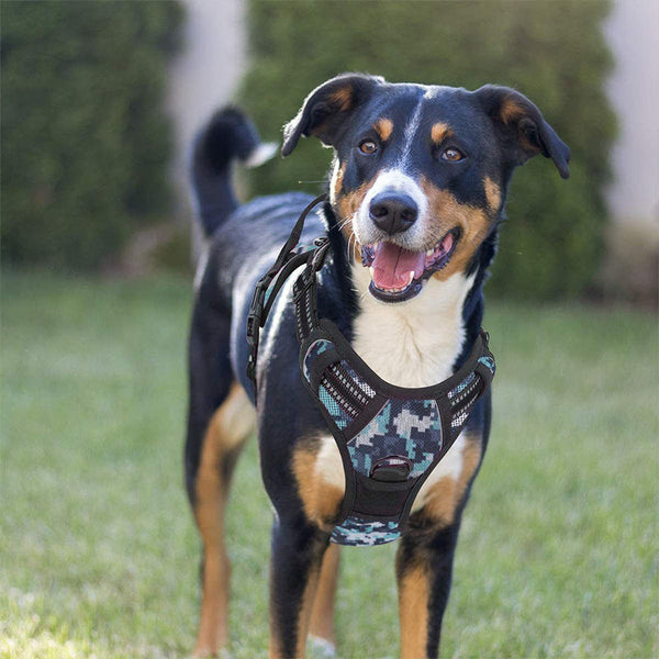 HKM-1555901 Pet Dog Hand Holding Rope Chest Strap - Multiple Colors Available, Durable Cloth Design