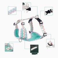 HKM-1556413 Reflective Rope Vest Harness for Dogs in Mountain Blue and Purple