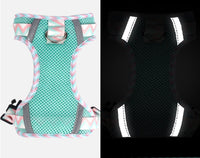 HKM-1556413 Reflective Rope Vest Harness for Dogs in Mountain Blue and Purple
