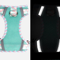 HKM-1556413 Reflective Rope Vest Harness for Dogs in Mountain Blue and Purple