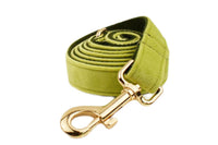HKM-1558077 Soft Velvet Dog Collar Set with Rope, Bow, Flower, Vest, and Poop Bag
