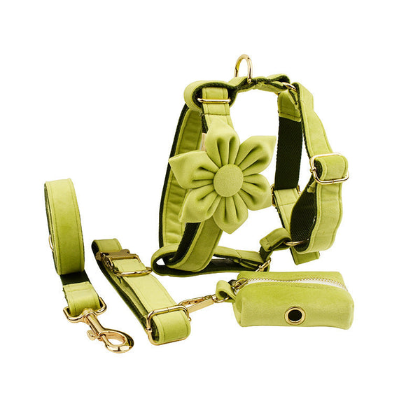 HKM-1558077 Soft Velvet Dog Collar Set with Rope, Bow, Flower, Vest, and Poop Bag