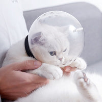 HKM-1558589 Breathable Plastic Cat Headgear - Space Hood Chew Toy for Playtime