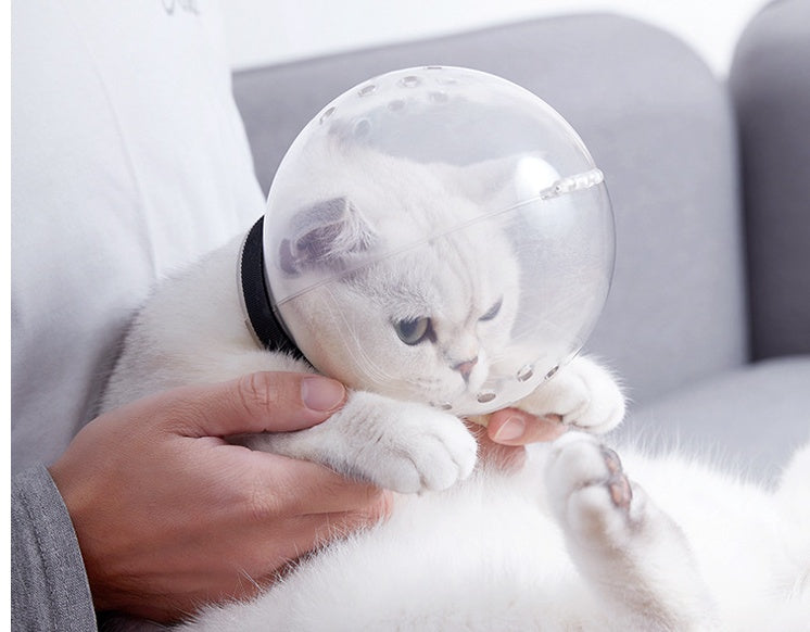 HKM-1558589 Breathable Plastic Cat Headgear - Space Hood Chew Toy for Playtime