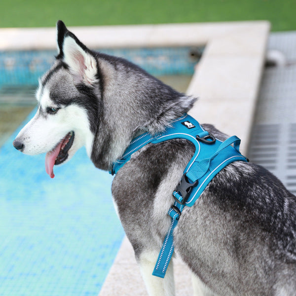 HKM-1561661 Durable Nylon Chest Strap with Traction Rope for Dogs in Multiple Colors