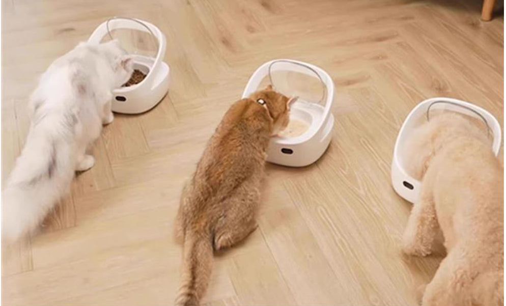 HKM-1566141 Smart Pet Feeder with Food Bowl, Ice Box, Collar and Charging Cable for Cats
