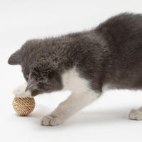 HKM-1569597 Interactive Rattan Ball Cat Toy Set with Faux Feather & Bell - 2pcs