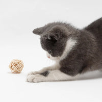 HKM-1569597 Interactive Rattan Ball Cat Toy Set with Faux Feather & Bell - 2pcs