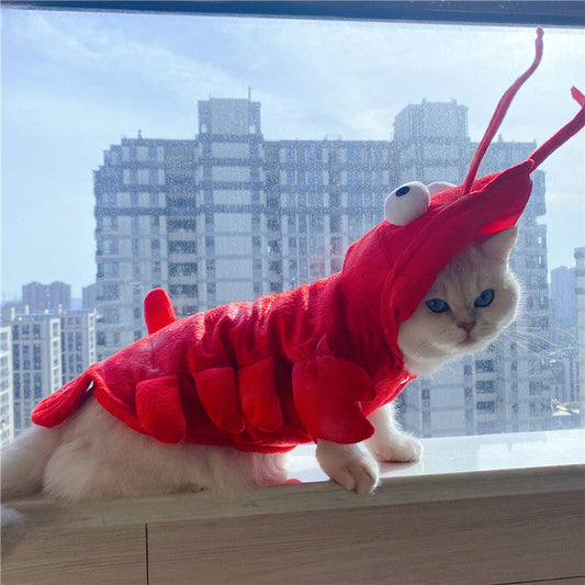 HKM-1575485 Lobster-Themed Funny Outfit for Cats - Sizes XS to XL