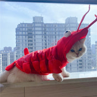 HKM-1575485 Lobster-Themed Funny Outfit for Cats - Sizes XS to XL