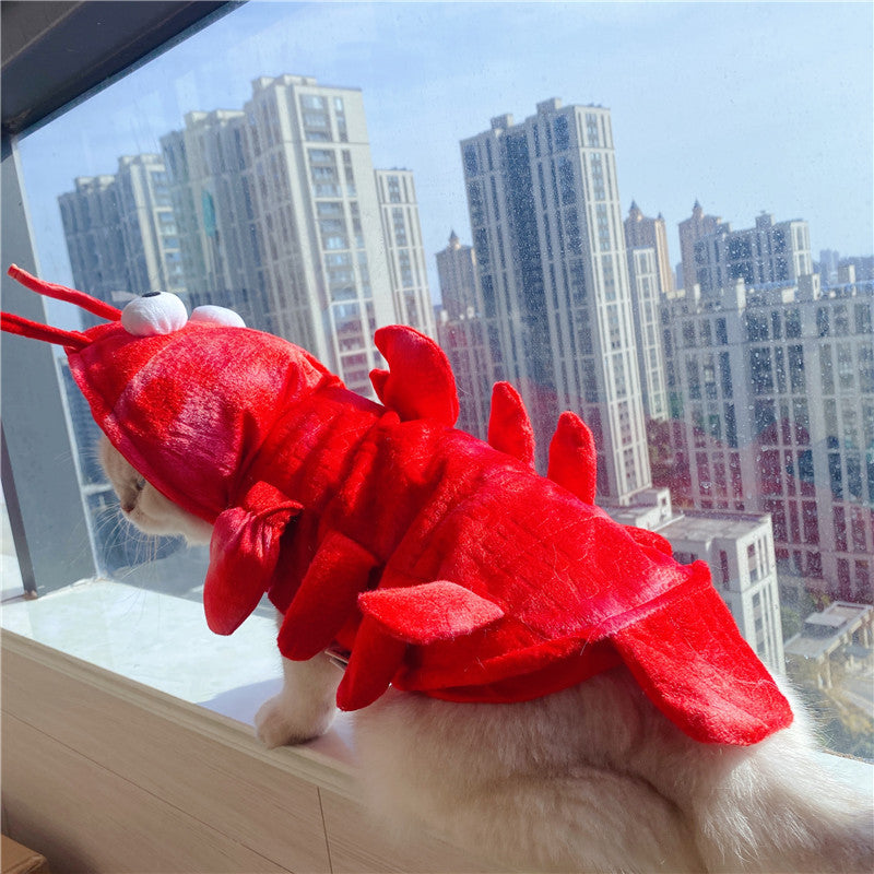HKM-1575485 Lobster-Themed Funny Outfit for Cats - Sizes XS to XL