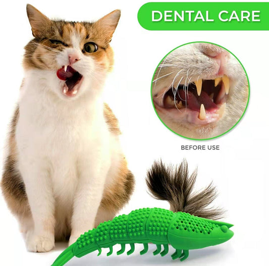 HKM-1581117 Cat Teething Toy with Catnip and Bell for Interactive Play – Durable Rubber, Easy to Clean, 360 Degree Teeth Cleaning