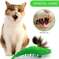 HKM-1581117 Cat Teething Toy with Catnip and Bell for Interactive Play – Durable Rubber, Easy to Clean, 360 Degree Teeth Cleaning