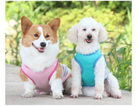 HKM-1582013 Cooling Pet Vest for Dogs - Reflective Summer Apparel in Cherry Blossom, Ice Blue, and Fruit Green, Sizes S to 11XL