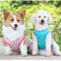 HKM-1582013 Cooling Pet Vest for Dogs - Reflective Summer Apparel in Cherry Blossom, Ice Blue, and Fruit Green, Sizes S to 11XL