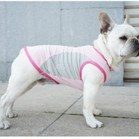HKM-1582013 Cooling Pet Vest for Dogs - Reflective Summer Apparel in Cherry Blossom, Ice Blue, and Fruit Green, Sizes S to 11XL