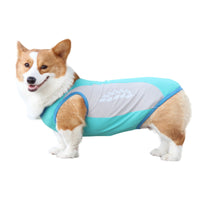 HKM-1582013 Cooling Pet Vest for Dogs - Reflective Summer Apparel in Cherry Blossom, Ice Blue, and Fruit Green, Sizes S to 11XL