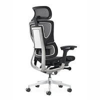 HKM-158483 Ergonomic Computer Swivel Chair with Mesh Back and Adjustable Height for Comfort