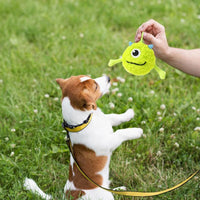 HKM-1596605 Interactive Dog Teething Toy Ball - Soft, Flexible, Bite-Resistant Chew Toy for Gums and Exercise