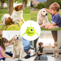HKM-1596605 Interactive Dog Teething Toy Ball - Soft, Flexible, Bite-Resistant Chew Toy for Gums and Exercise