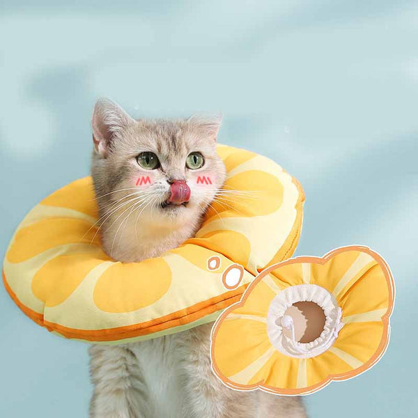 HKM-1597117 Adjustable Waterproof Cat Headgear in Multiple Colors - Elizabeth Ring Design