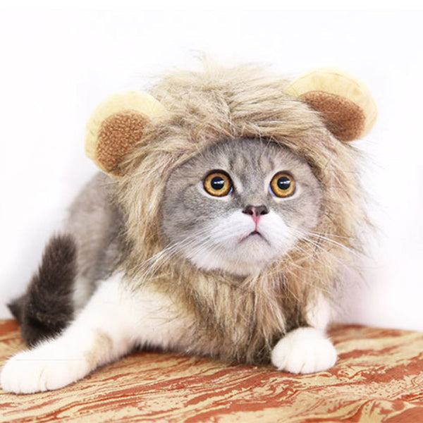 HKM-1599933 Lion Mane Costume Hat for Small Dogs and Cats - Festive Pet Accessory for Halloween and Parties