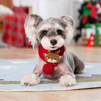 HKM-1600701 Personalized Christmas Sweater for Pets in Various Designs and Sizes