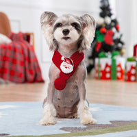 HKM-1600701 Personalized Christmas Sweater for Pets in Various Designs and Sizes