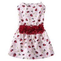 HKM-1601469 Simple Print Skirt for Dogs in Various Colors and Sizes