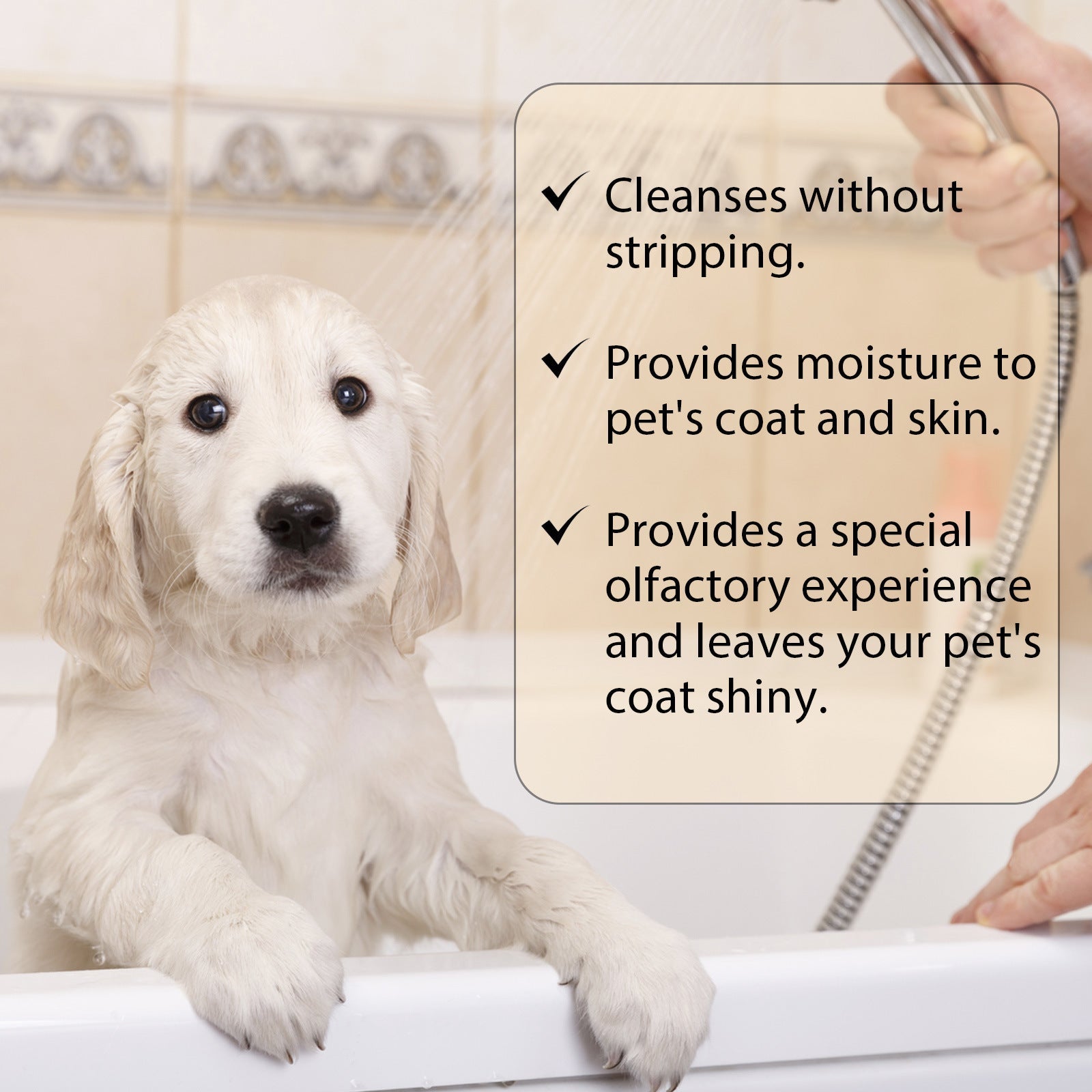 HKM-1608509 Mild and Clean Pet Shampoo for Dogs and Cats - Softens and Untangles Fur, 100ml & 300ml Options