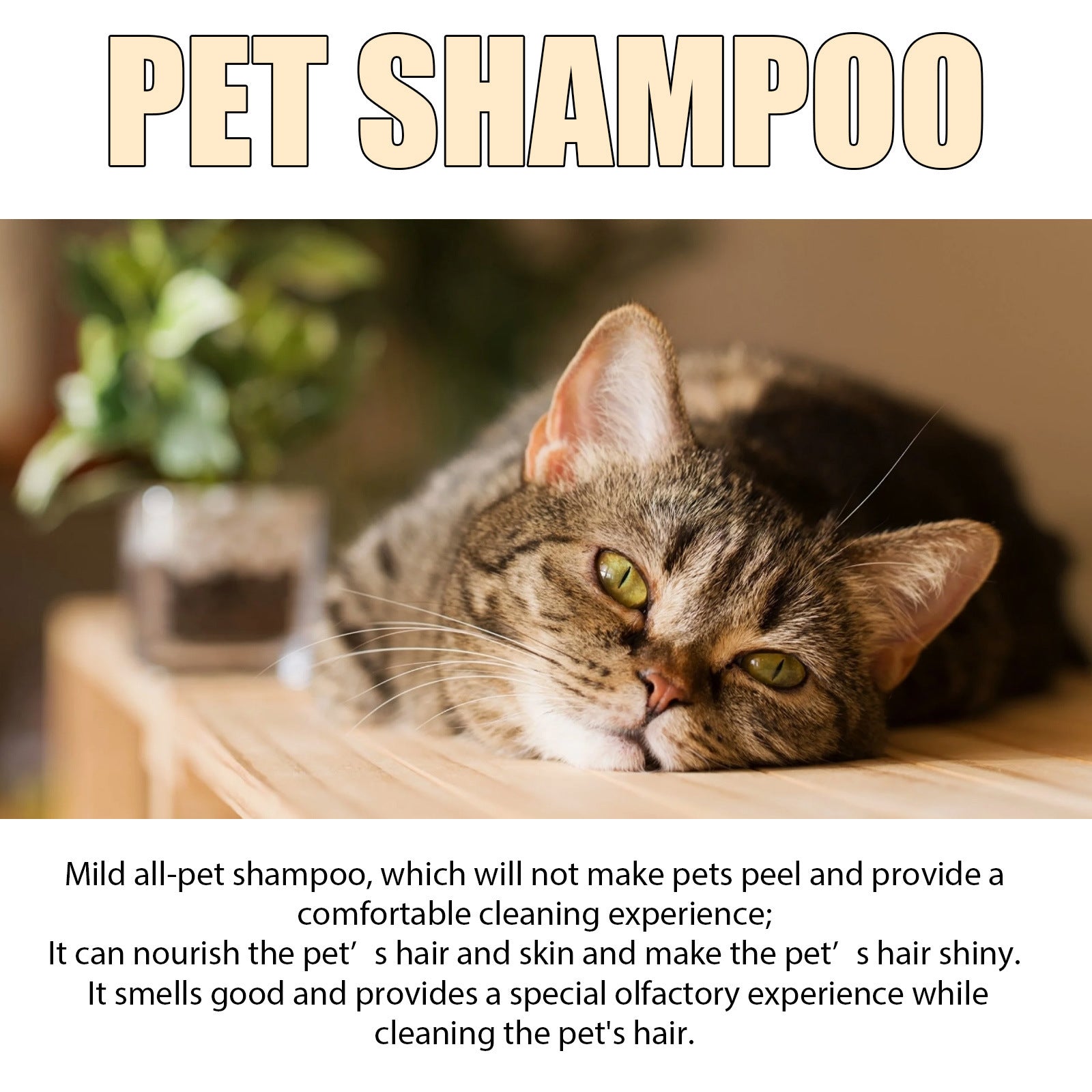 HKM-1608509 Mild and Clean Pet Shampoo for Dogs and Cats - Softens and Untangles Fur, 100ml & 300ml Options