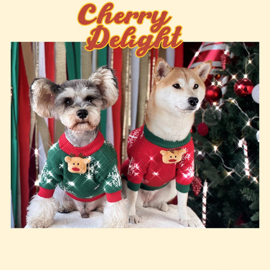 HKM-160915 Warm and Cozy Christmas Padded Dog Sweater in Green and Red