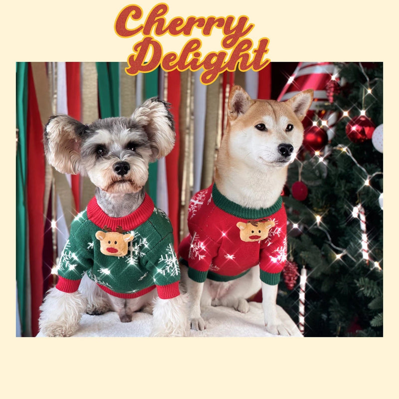 HKM-160915 Warm and Cozy Christmas Padded Dog Sweater in Green and Red