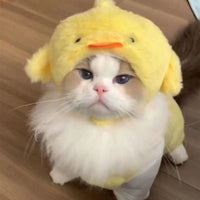 HKM-1614013 Colorful Hand-Knitted Seasonal Pet Hats for Fashionable Pets