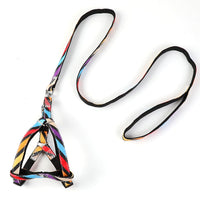 HKM-1616189 Adjustable Nylon Dog Leash with Personalized Print for All Seasons