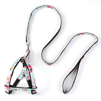 HKM-1616189 Adjustable Nylon Dog Leash with Personalized Print for All Seasons