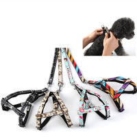 HKM-1616189 Adjustable Nylon Dog Leash with Personalized Print for All Seasons