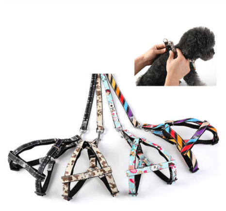 HKM-1616189 Adjustable Nylon Dog Leash with Personalized Print for All Seasons