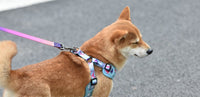 HKM-1621437 Y-shaped Oxford Cloth Dog Harness Vest with Reflective Strips and Breathable Mesh - Small and Medium Sizes Available