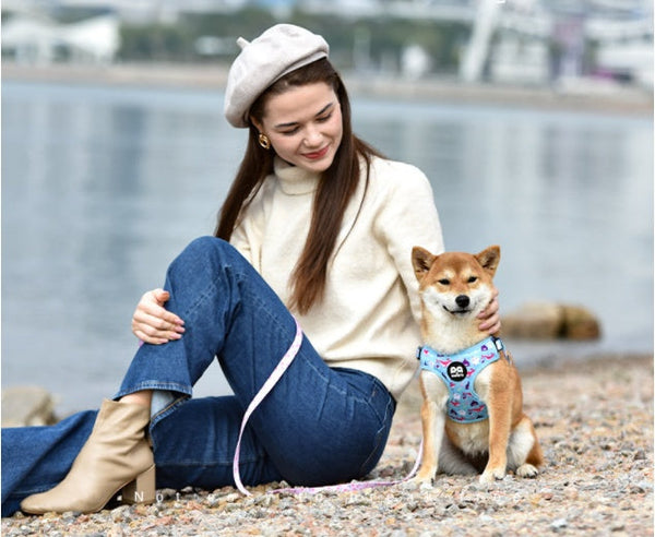 HKM-1621437 Y-shaped Oxford Cloth Dog Harness Vest with Reflective Strips and Breathable Mesh - Small and Medium Sizes Available